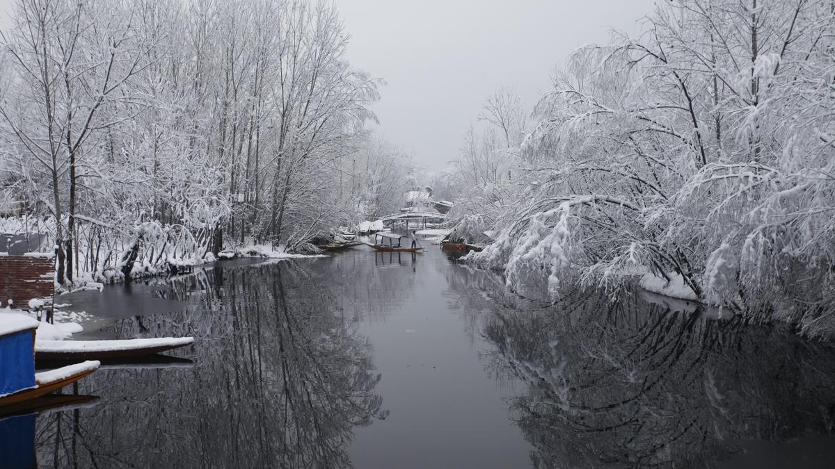 Surviving the 40-Day Chill: Unveiling the Secrets of Kashmir's Chillai Kalan